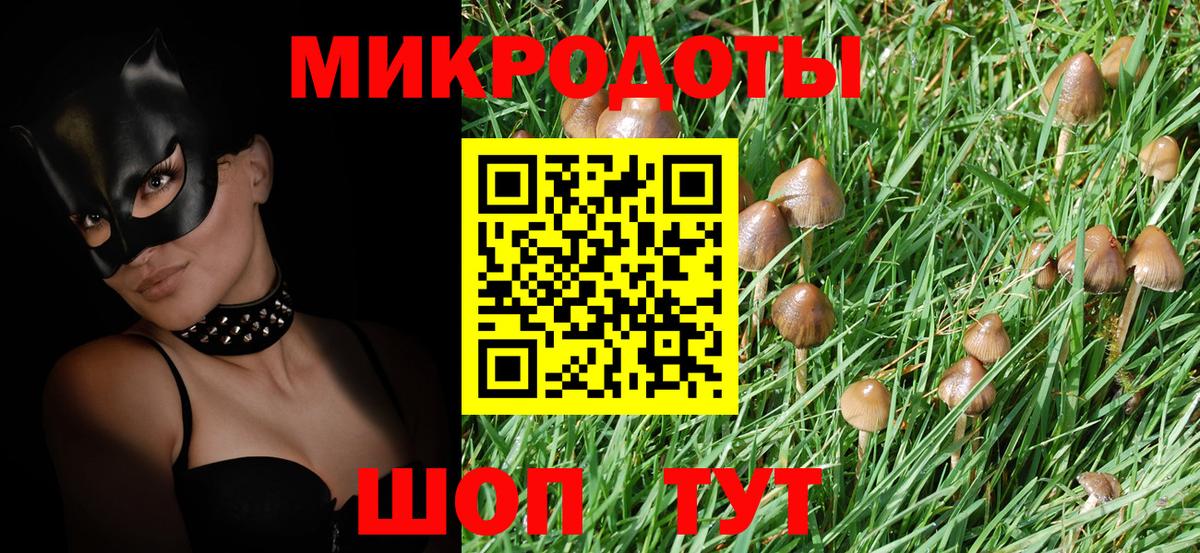 Нефтекумск  Псилоцибиновые грибы мицелий  Вход с VPN 